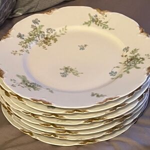 Haviland & Co. Schleiger 52B